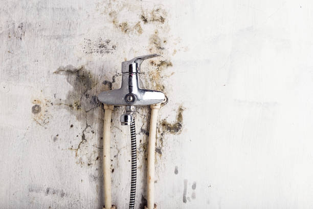 Best Residential Mold Remediation in Dardenne Prairie, MO